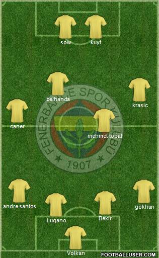 Fenerbahçe SK Formation 2013