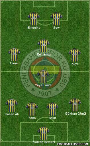 Fenerbahçe SK Formation 2013