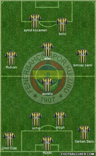 Fenerbahçe SK Formation 2013