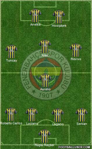Fenerbahçe SK Formation 2013