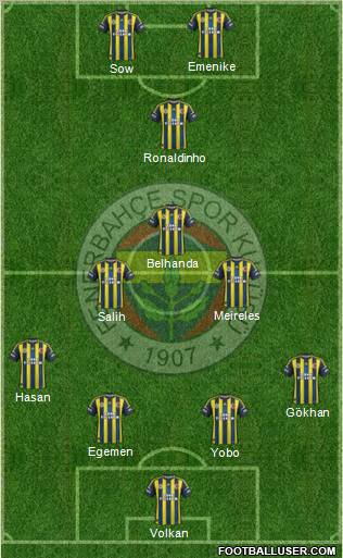 Fenerbahçe SK Formation 2013