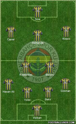 Fenerbahçe SK Formation 2013