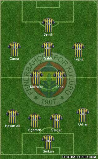 Fenerbahçe SK Formation 2013