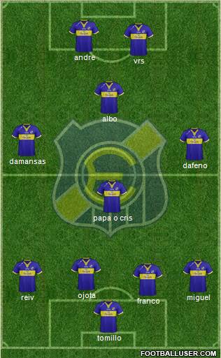 CD Everton de Viña del Mar S.A.D.P. Formation 2013