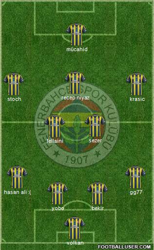 Fenerbahçe SK Formation 2013
