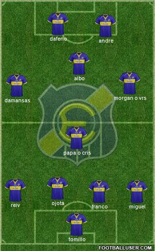 CD Everton de Viña del Mar S.A.D.P. Formation 2013