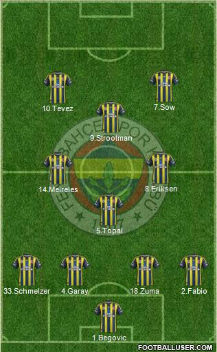 Fenerbahçe SK Formation 2013