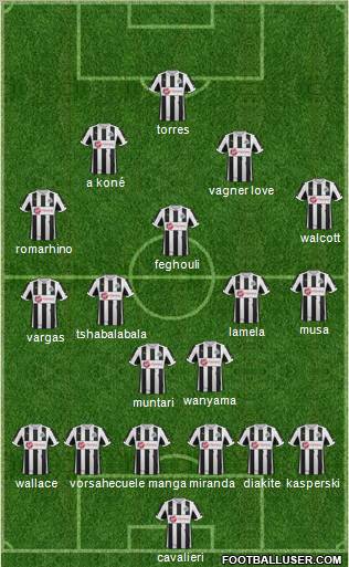 Newcastle United Formation 2013