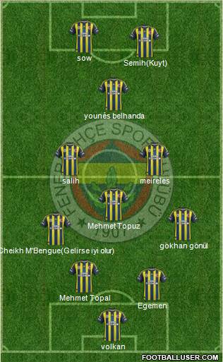 Fenerbahçe SK Formation 2013