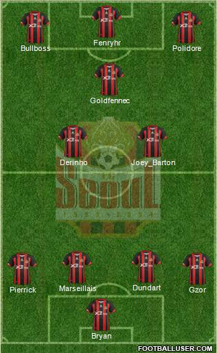 FC Seoul Formation 2013