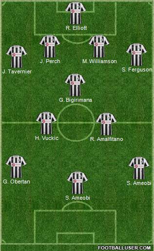Newcastle United Formation 2013