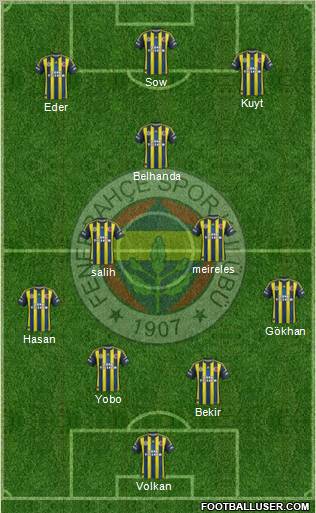 Fenerbahçe SK Formation 2013