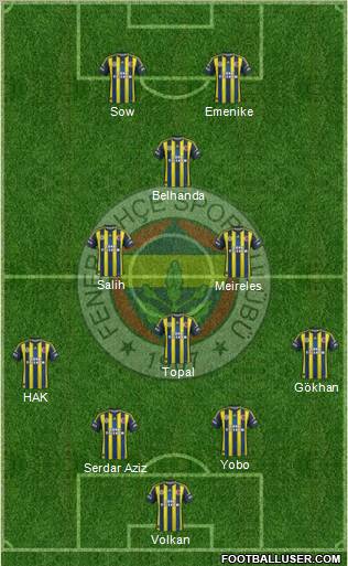 Fenerbahçe SK Formation 2013