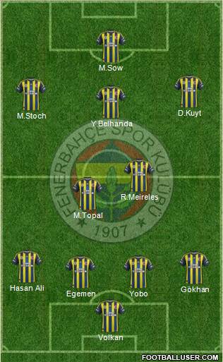Fenerbahçe SK Formation 2013