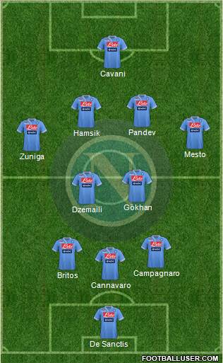 Napoli Formation 2013