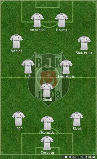 Besiktas JK Formation 2013