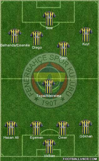 Fenerbahçe SK Formation 2013