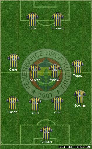 Fenerbahçe SK Formation 2013