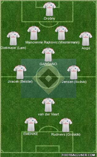 Hamburger SV Formation 2013