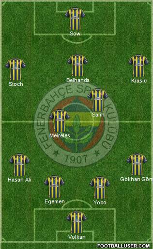 Fenerbahçe SK Formation 2013