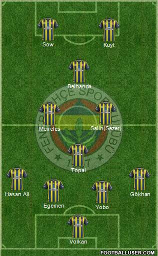 Fenerbahçe SK Formation 2013