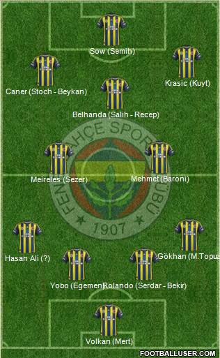Fenerbahçe SK Formation 2013