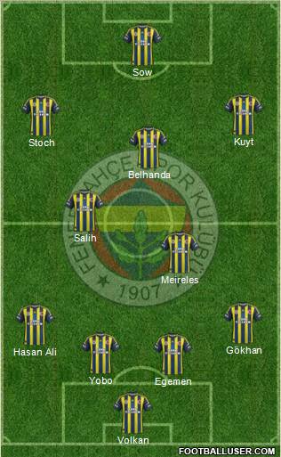 Fenerbahçe SK Formation 2013
