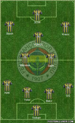 Fenerbahçe SK Formation 2013
