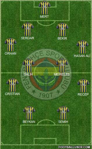 Fenerbahçe SK Formation 2013