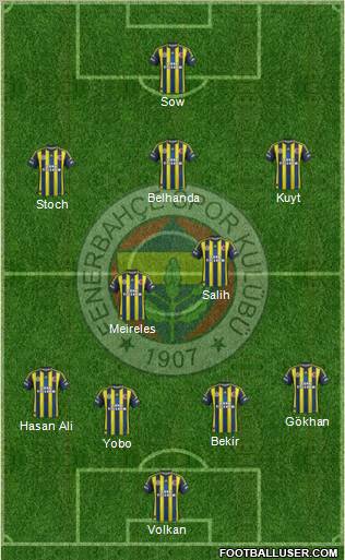 Fenerbahçe SK Formation 2013