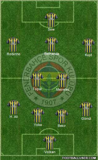 Fenerbahçe SK Formation 2013