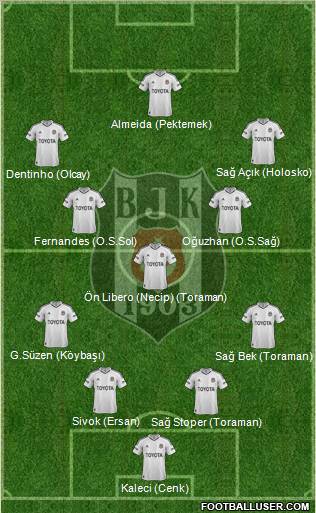 Besiktas JK Formation 2013