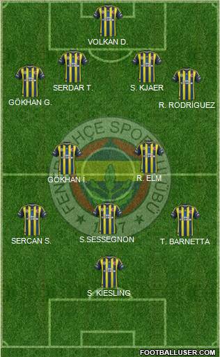 Fenerbahçe SK Formation 2013