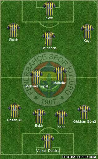 Fenerbahçe SK Formation 2013