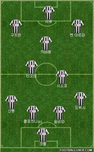 Newcastle United Formation 2013