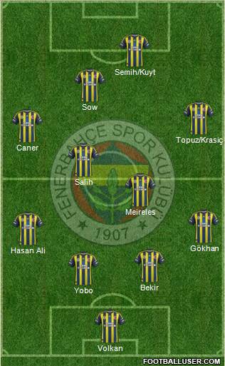 Fenerbahçe SK Formation 2013
