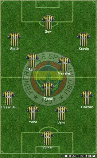 Fenerbahçe SK Formation 2013
