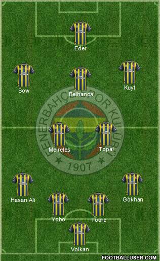 Fenerbahçe SK Formation 2013