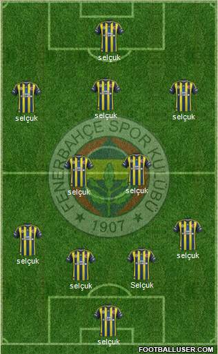 Fenerbahçe SK Formation 2013