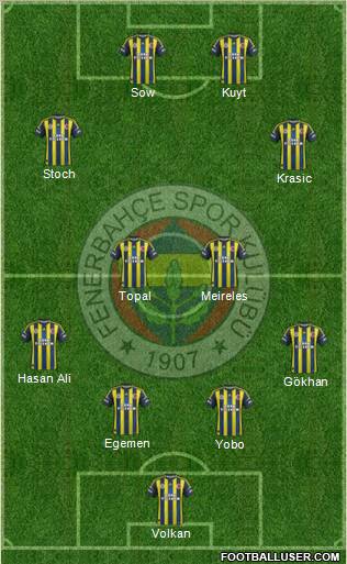 Fenerbahçe SK Formation 2013
