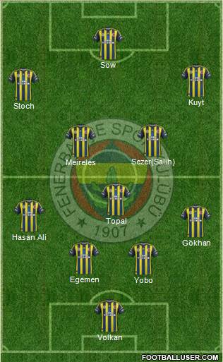 Fenerbahçe SK Formation 2013