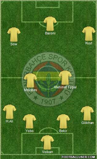 Fenerbahçe SK Formation 2013