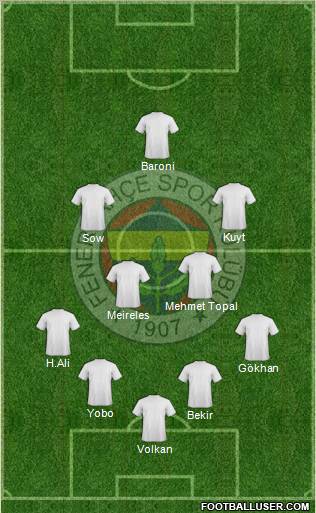 Fenerbahçe SK Formation 2013