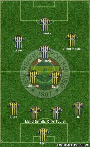 Fenerbahçe SK Formation 2013