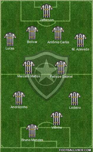 Botafogo FR Formation 2013