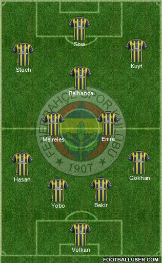 Fenerbahçe SK Formation 2013