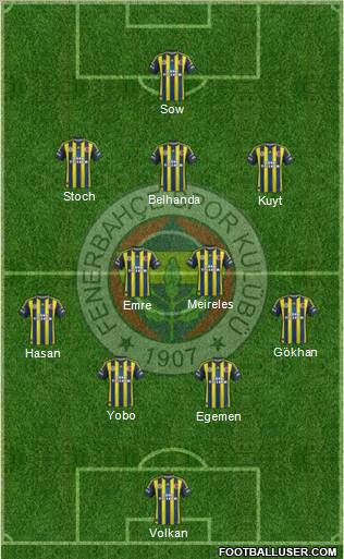 Fenerbahçe SK Formation 2013