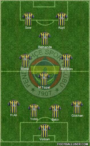 Fenerbahçe SK Formation 2013