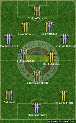Fenerbahçe SK Formation 2013