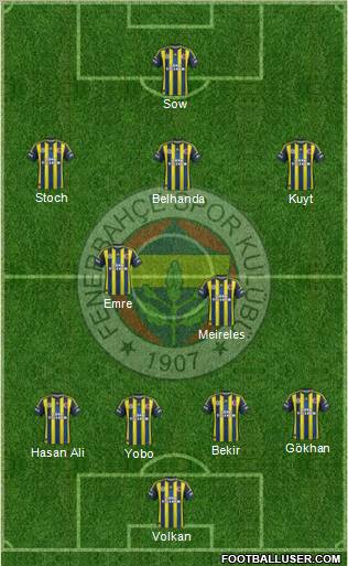 Fenerbahçe SK Formation 2013